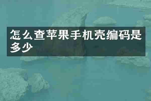 怎么查苹果手机壳编码是多少