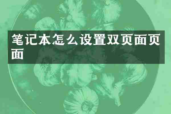 笔记本怎么设置双页面页面