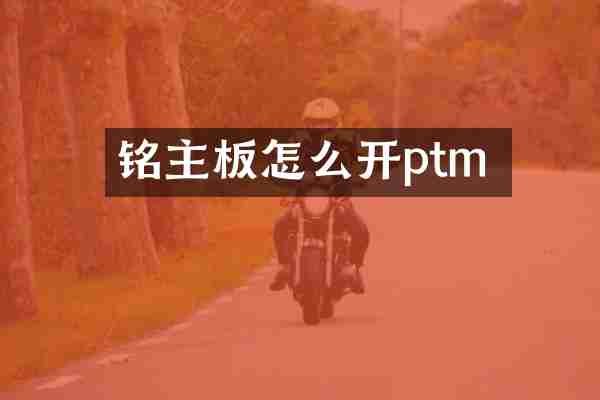 铭瑄主板怎么开ptm