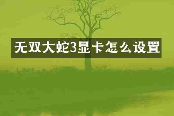 无双大蛇3显卡怎么设置