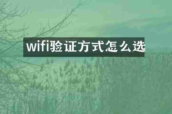 wifi验证方式怎么选