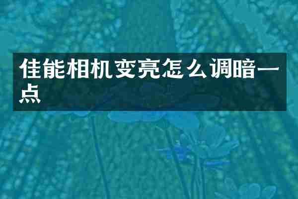 佳能相机变亮怎么调暗一点