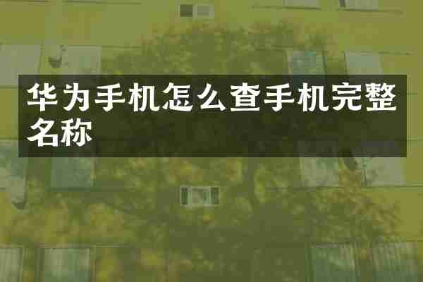 华为手机怎么查手机完整名称