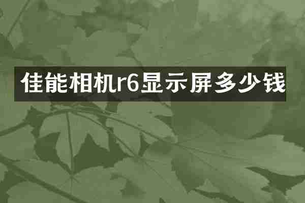 佳能相机r6显示屏多少钱