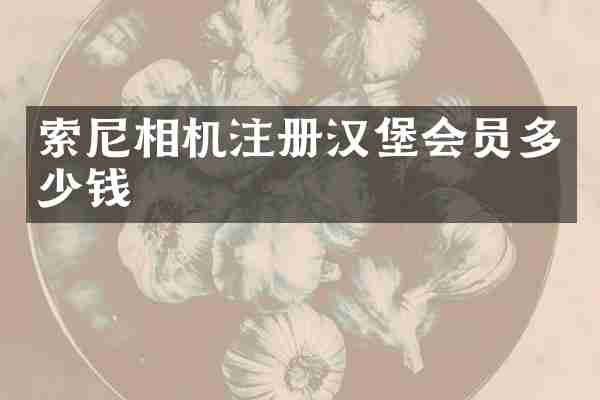 索尼相机注册汉堡会员多少钱