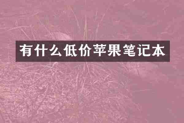 有什么低价苹果笔记本