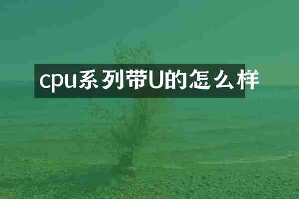 cpu系列带U的怎么样