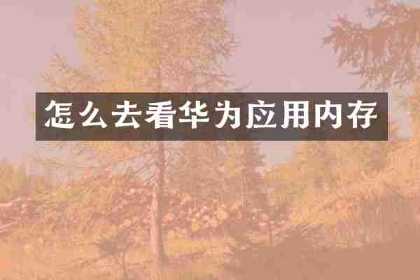 怎么去看华为应用内存