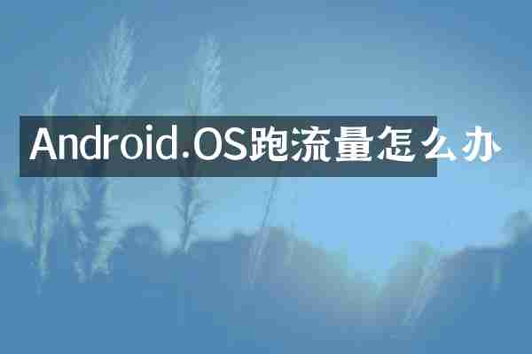 Android.OS跑流量怎么办