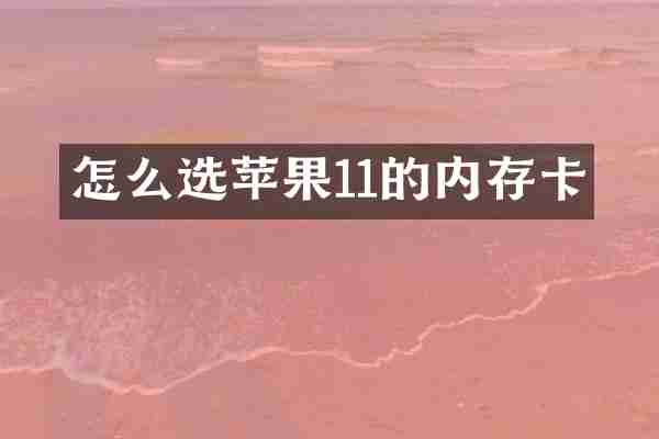 怎么选苹果11的内存卡