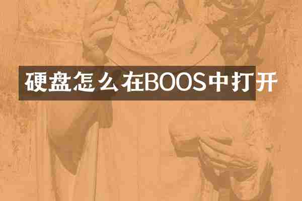 硬盘怎么在BOOS中打开
