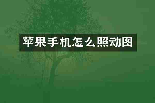 苹果手机怎么照动图
