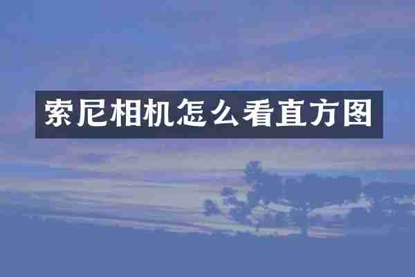 相机怎么看直方图
