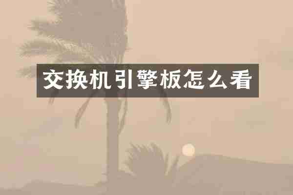 交换机引擎板怎么看
