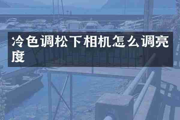 冷色调松下相机怎么调亮度