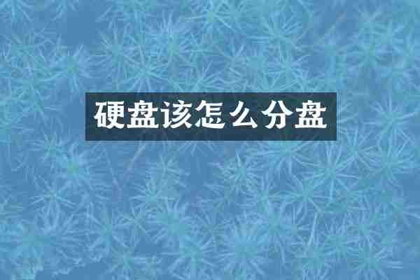 硬盘该怎么分盘