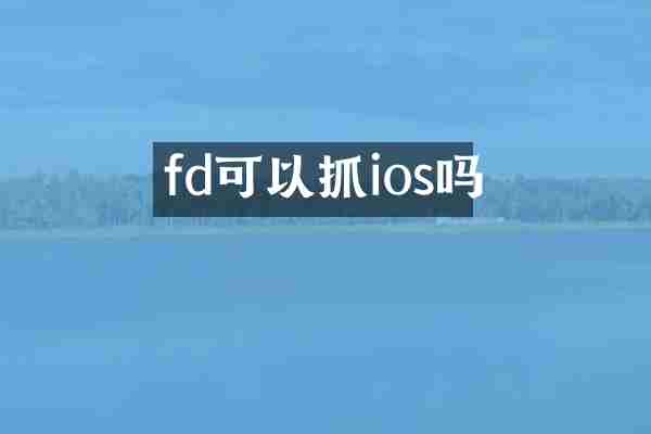 fd可以抓ios吗