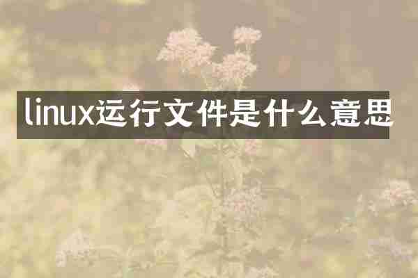 linux运行文件是什么意思