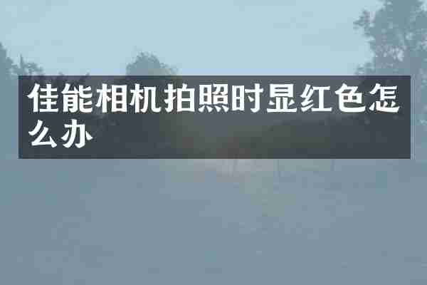 佳能相机拍照时显红色怎么办