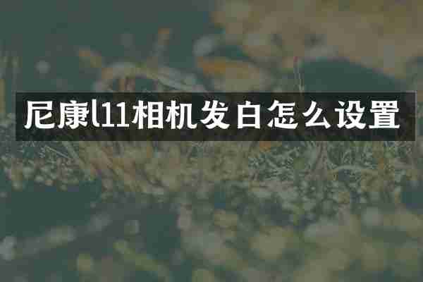 尼康l11相机发白怎么设置