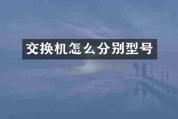 交换机怎么分别型号