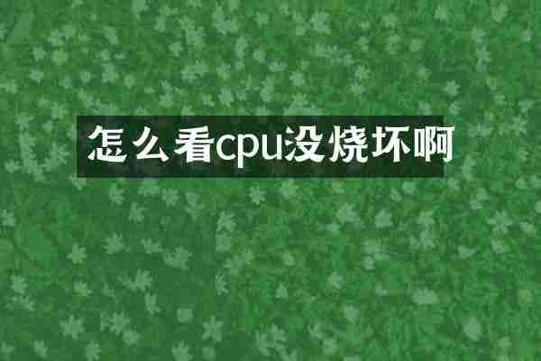 怎么看cpu没烧坏啊