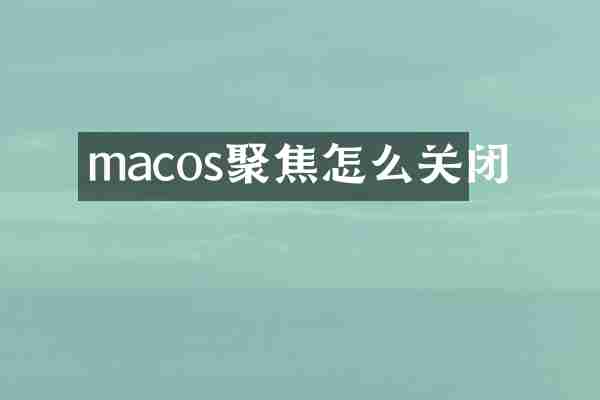 macos聚焦怎么关闭