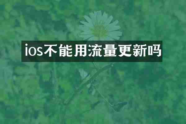 ios不能用流量更新吗
