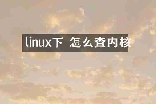 linux下 怎么查内核
