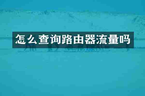 怎么查询路由器流量吗