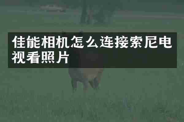 佳能相机怎么连接电视看照片