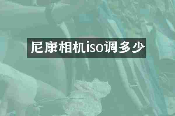 尼康相机iso调多少