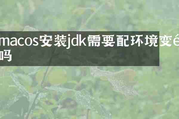 macos安装jdk需要配环境变量吗