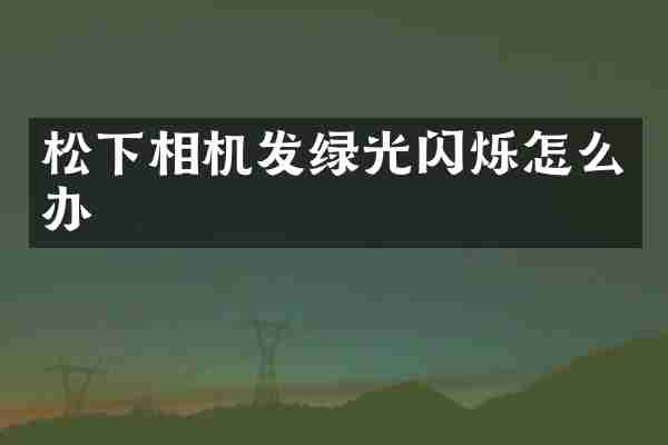 松下相机发绿光闪烁怎么办