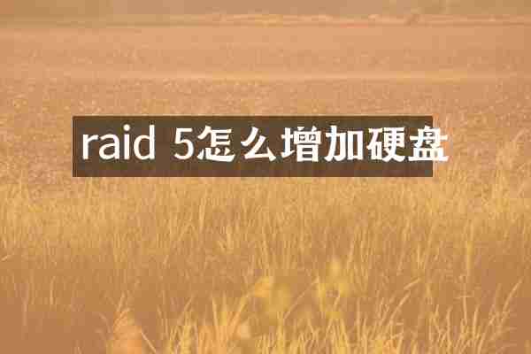 raid 5怎么增加硬盘