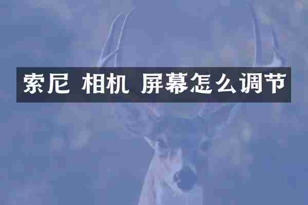 索尼 相机 屏幕怎么调节