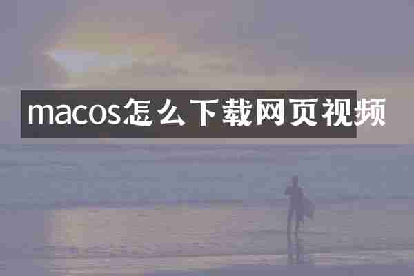 macos怎么下载网页视频