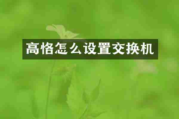 高恪怎么设置交换机