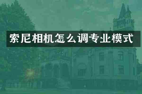 索尼相机怎么调专业模式