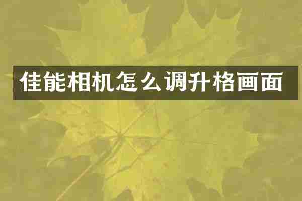 佳能相机怎么调升格画面