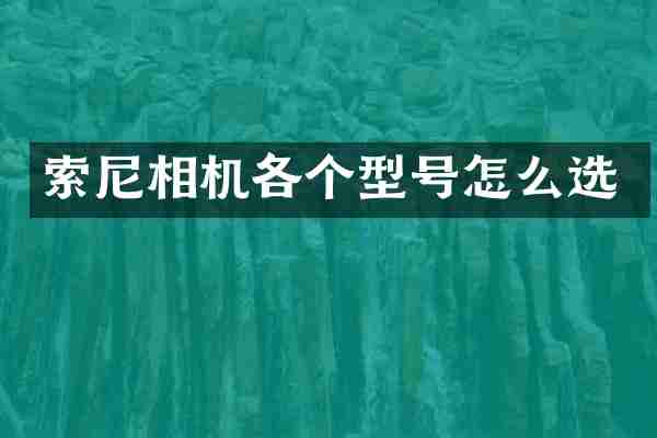 相机各个型号怎么选