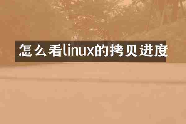 怎么看linux的拷贝进度