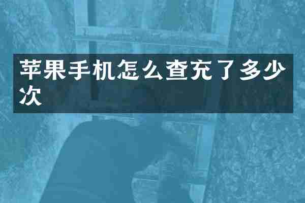 苹果手机怎么查充了多少次