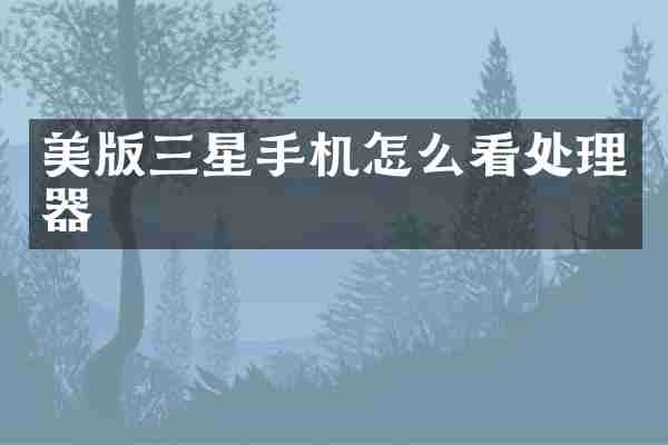美版三星手机怎么看处理器