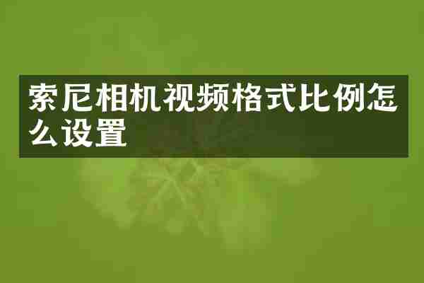 索尼相机视频格式比例怎么设置