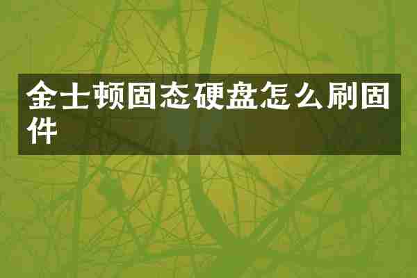 金士顿固态硬盘怎么刷固件