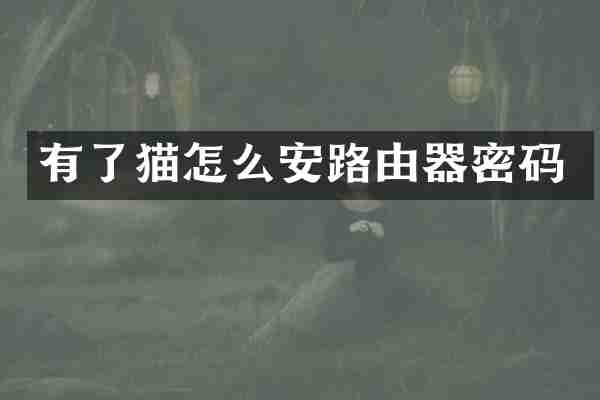 有了猫怎么安路由器密码