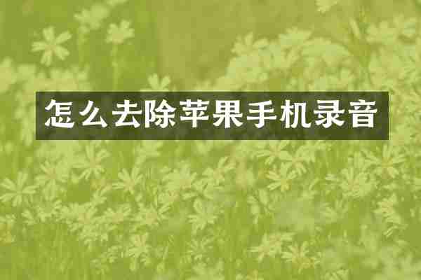 怎么去除苹果手机录音