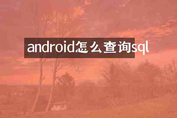 android怎么查询sql