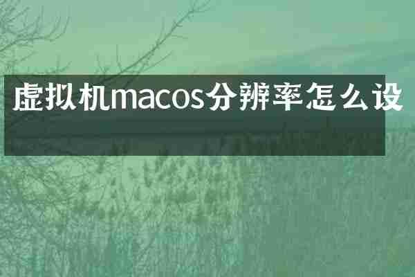 虚拟机macos分辨率怎么设置